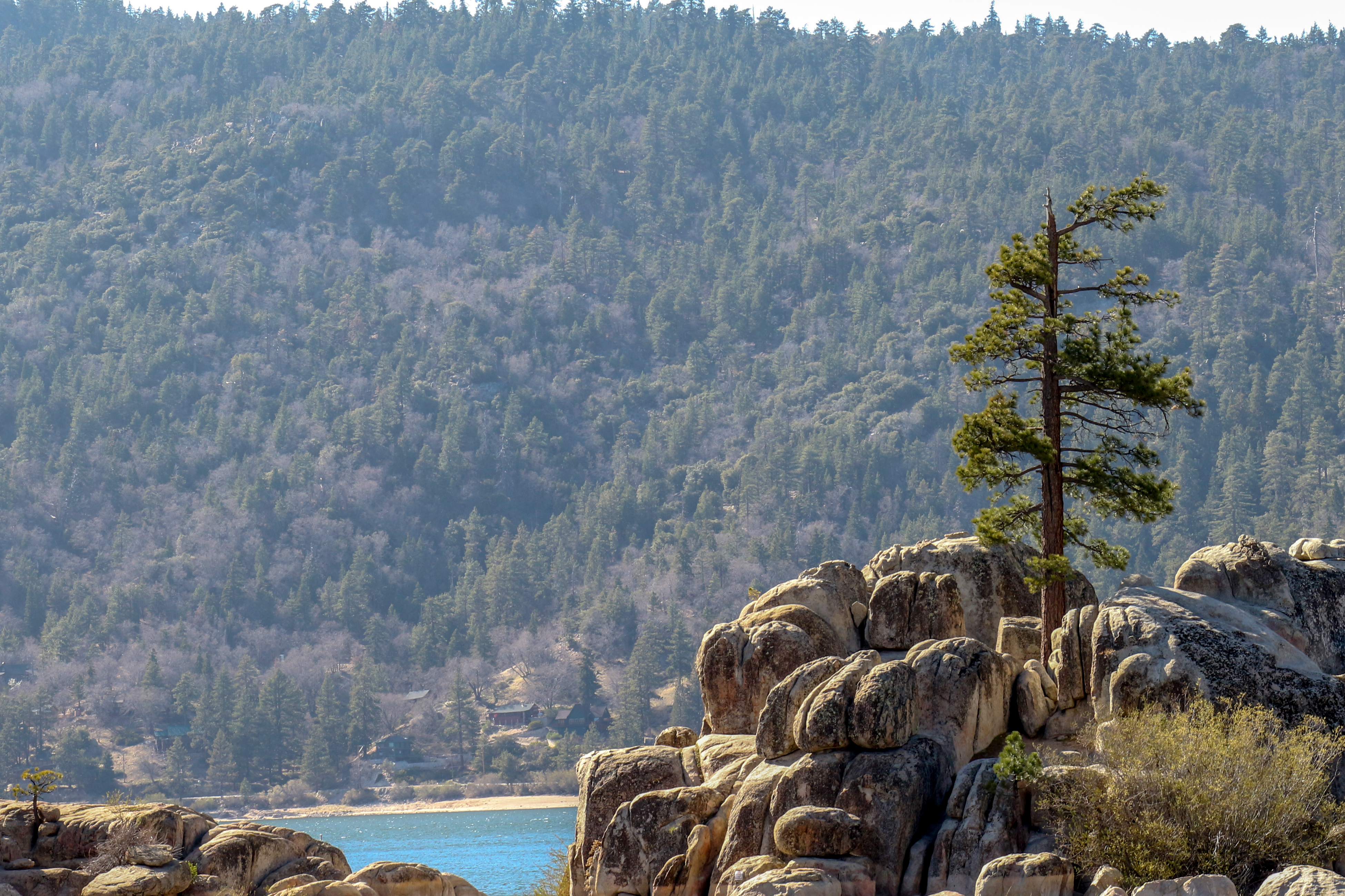 Big Bear Home 976100