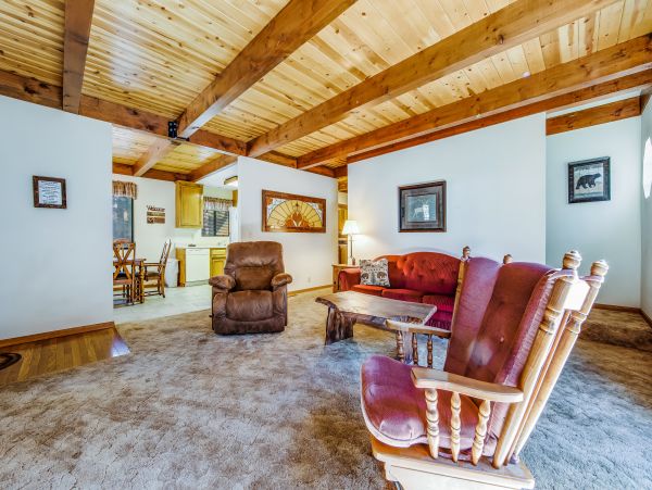 Big Bear Home 976101