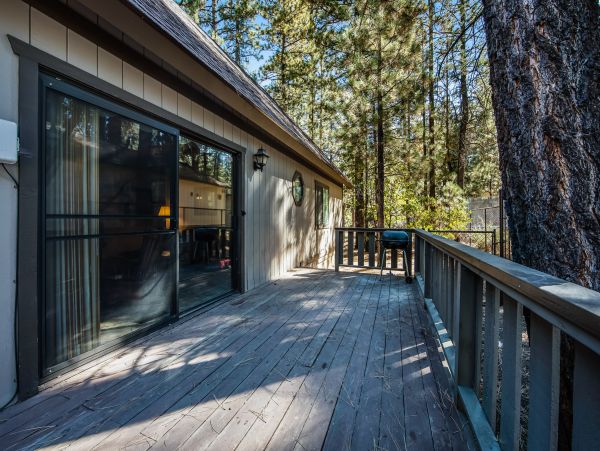 Big Bear Home 976101