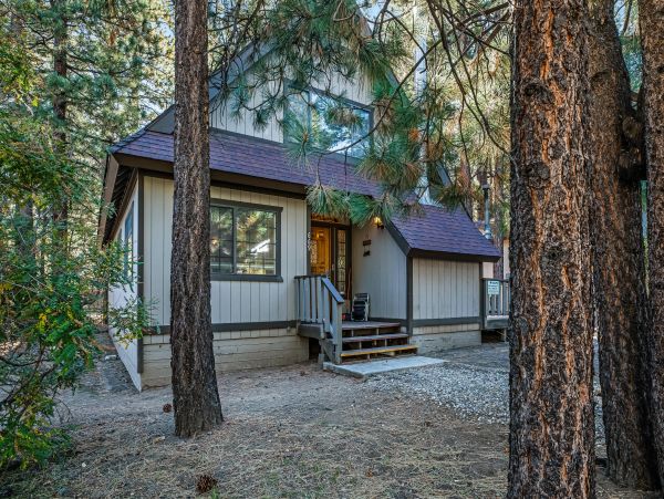 Big Bear Home 976101