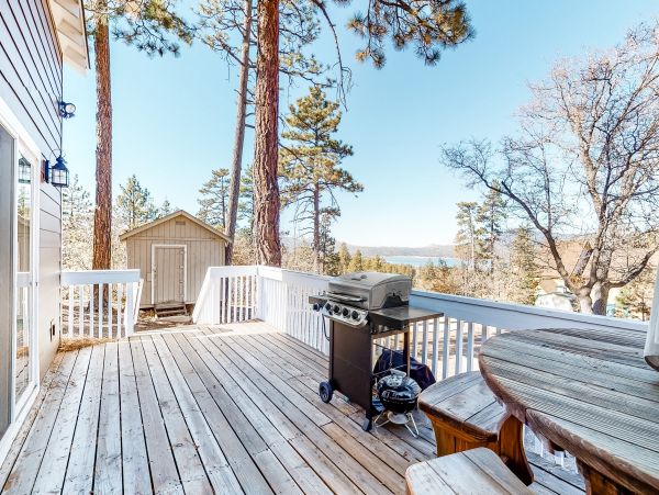 Big Bear Home 976102