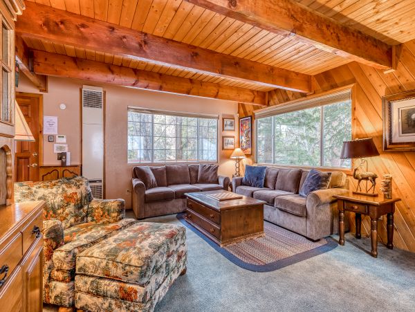 Big Bear Home 976103