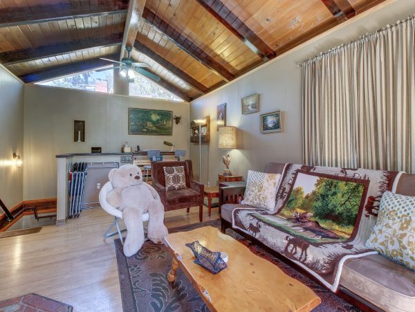 Big Bear Home 976104