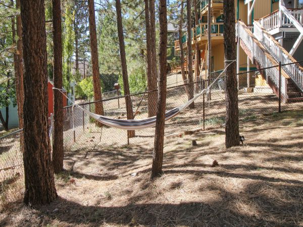 Big Bear Home 976104