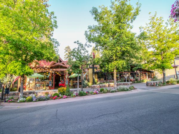 Big Bear Home 976104