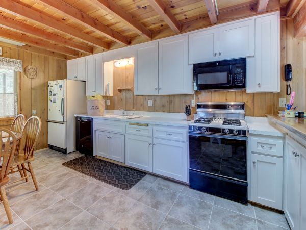 Big Bear Home 976105