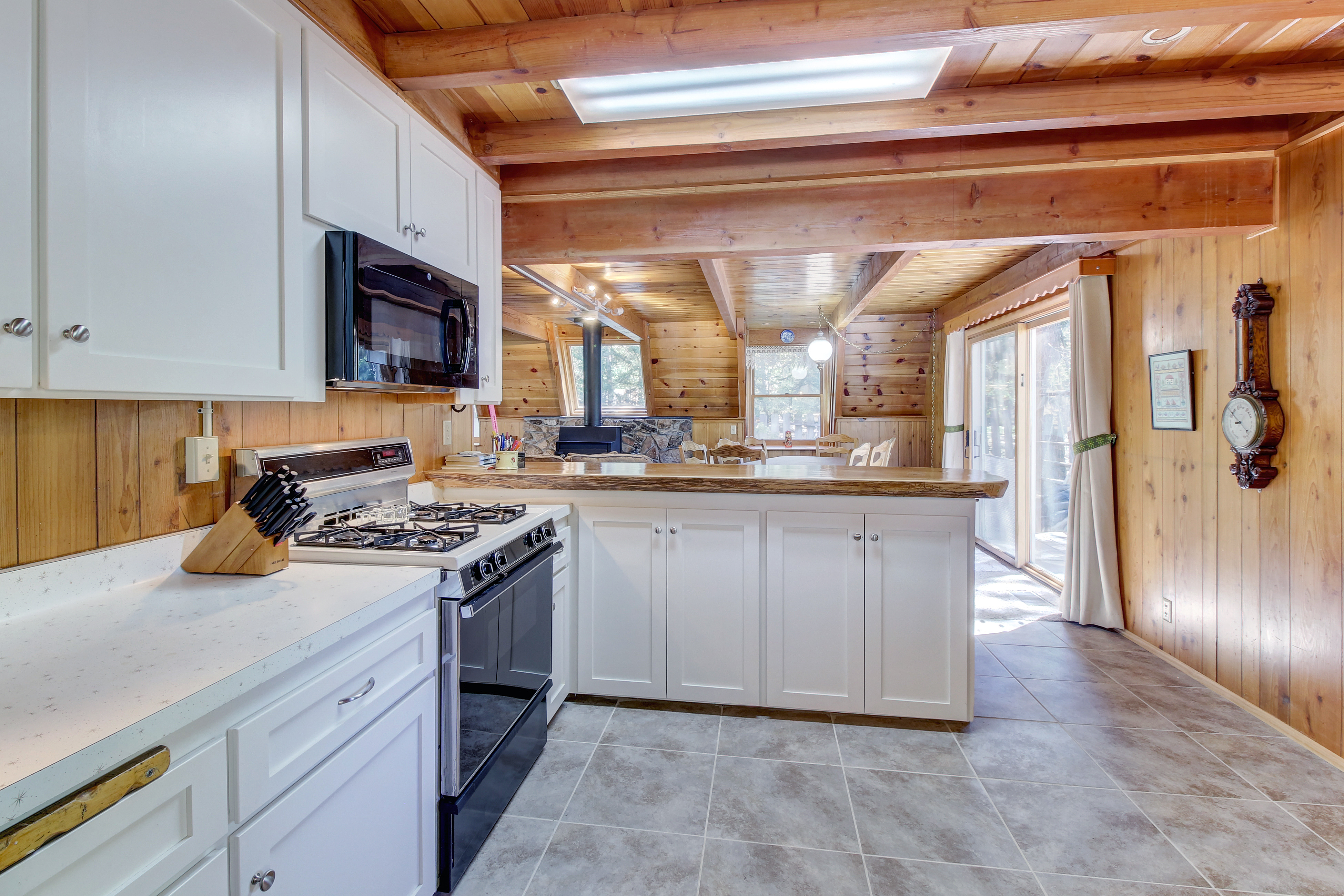 Big Bear Home 976105