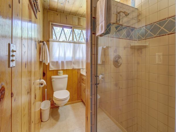Big Bear Home 976105