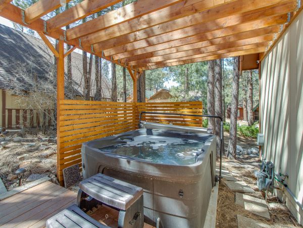 Big Bear Home 976107