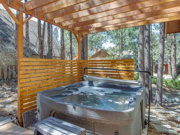 Big Bear Home 976107