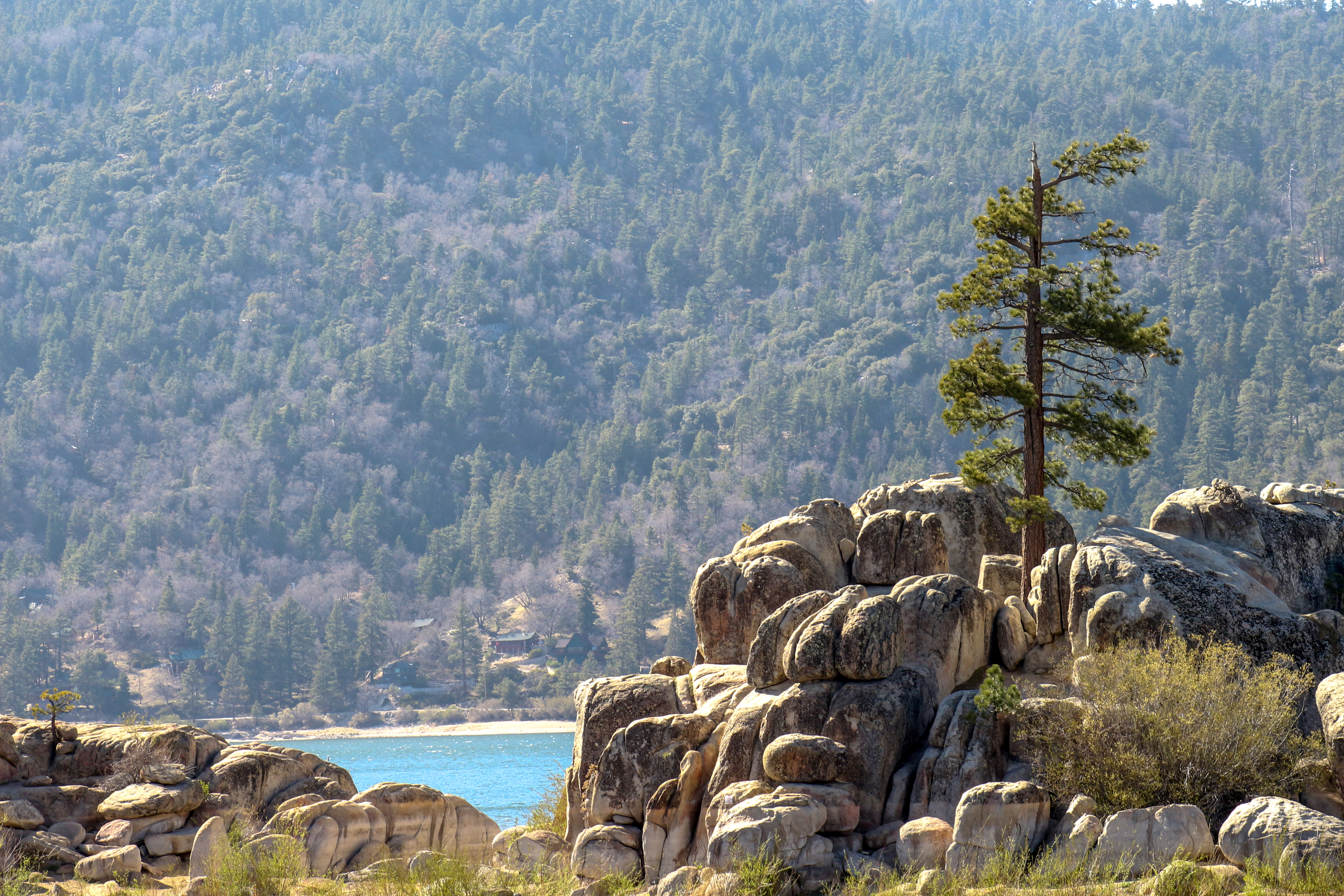 Big Bear Home 976107
