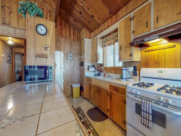 Big Bear Home 976108