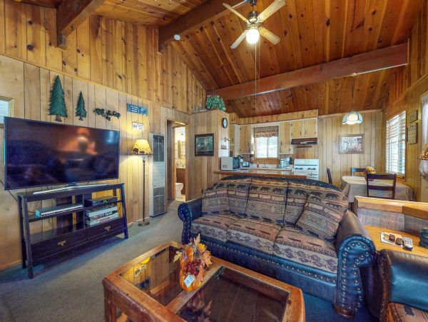Big Bear Home 976108