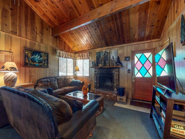 Big Bear Home 976108