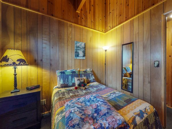 Big Bear Home 976108