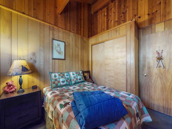 Big Bear Home 976108