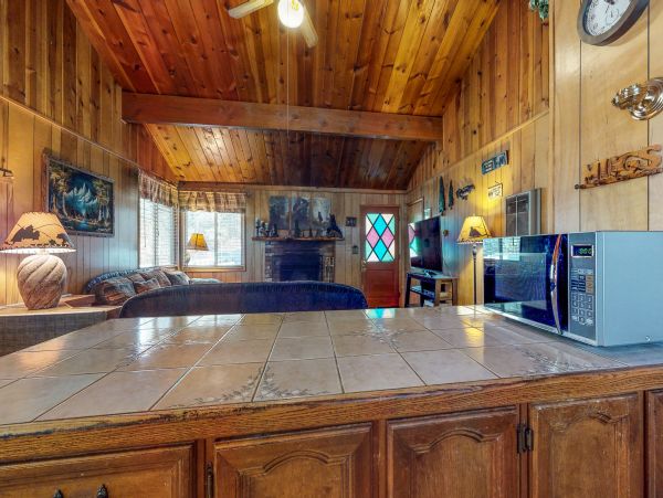 Big Bear Home 976108