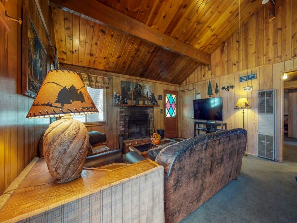 Big Bear Home 976108