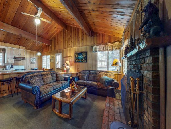 Big Bear Home 976108