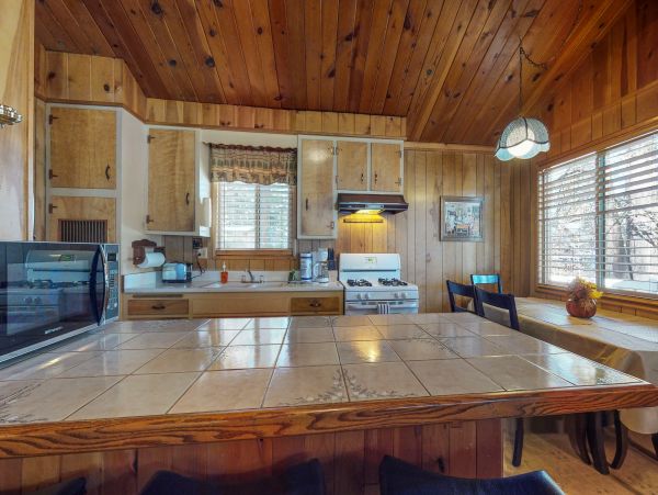 Big Bear Home 976108