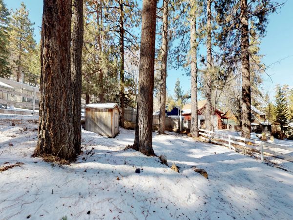 Big Bear Home 976108