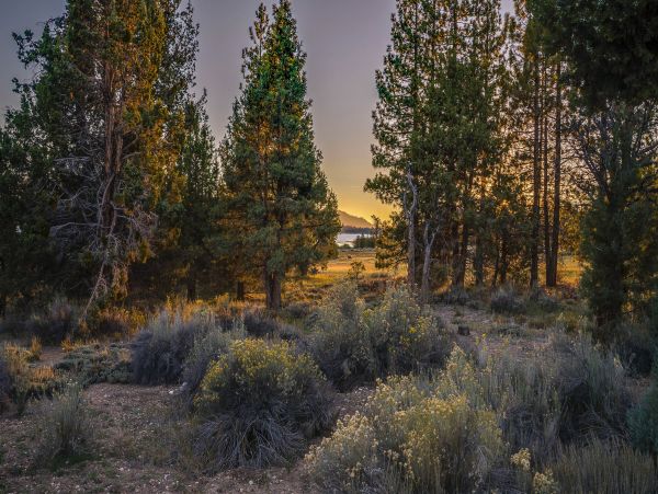 Big Bear Home 976111