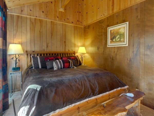 Big Bear Home 976111