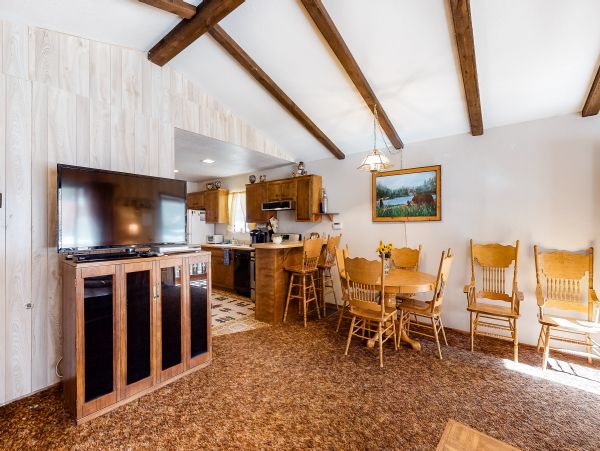 Big Bear Home 976114