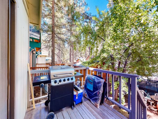 Big Bear Home 976114
