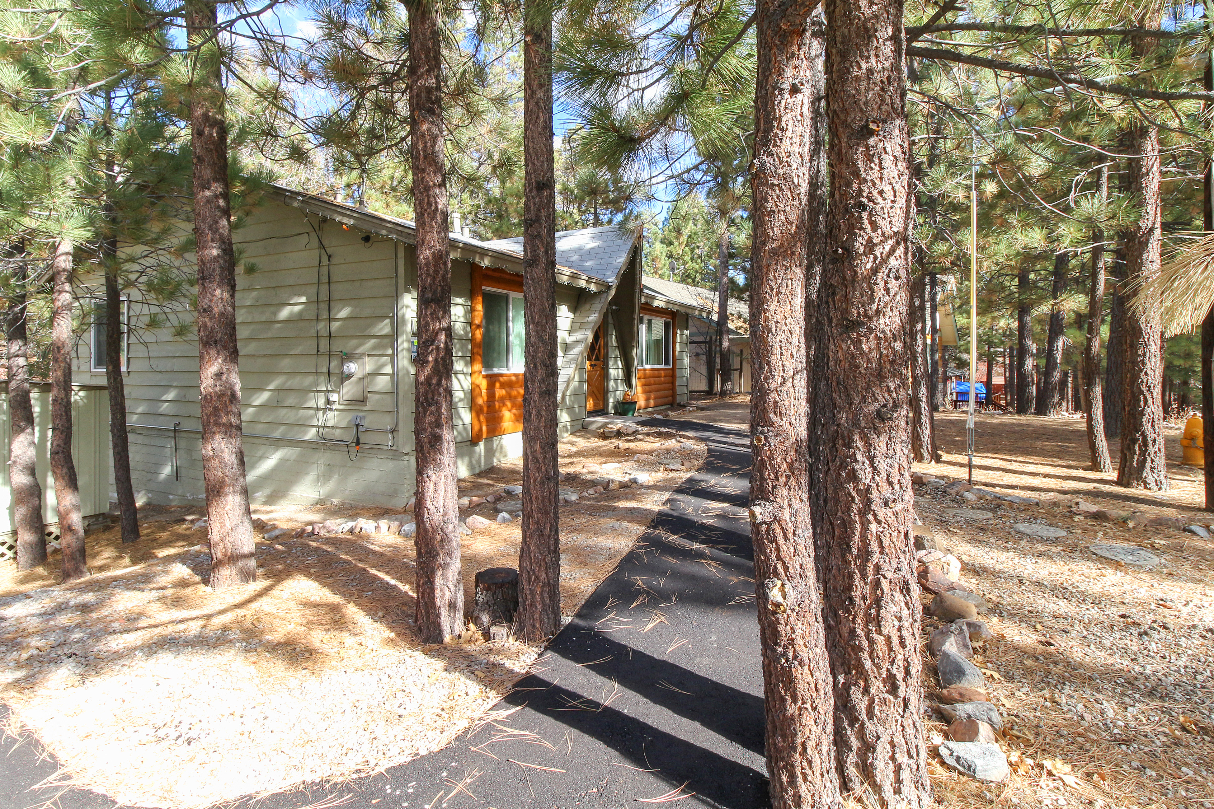 Big Bear Home 976115