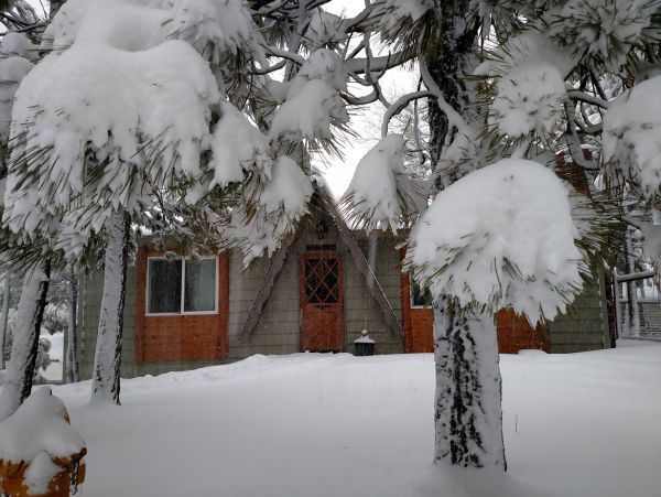 Big Bear Home 976115