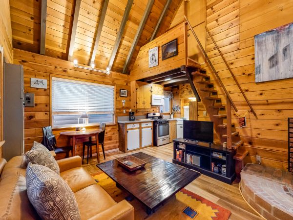 Big Bear Home 976116