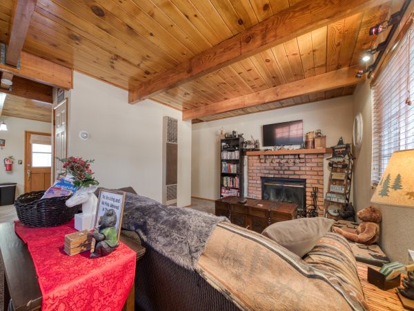 Big Bear Home 976118