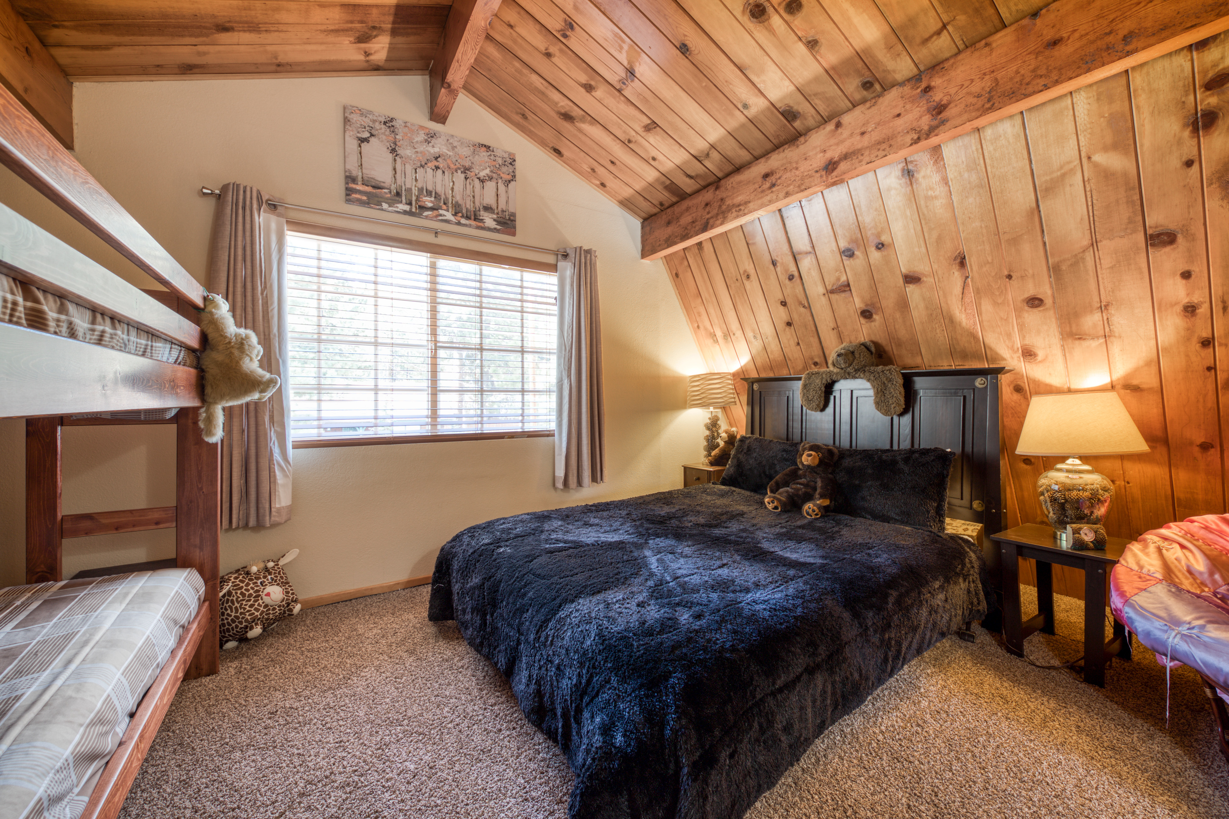 Big Bear Home 976118