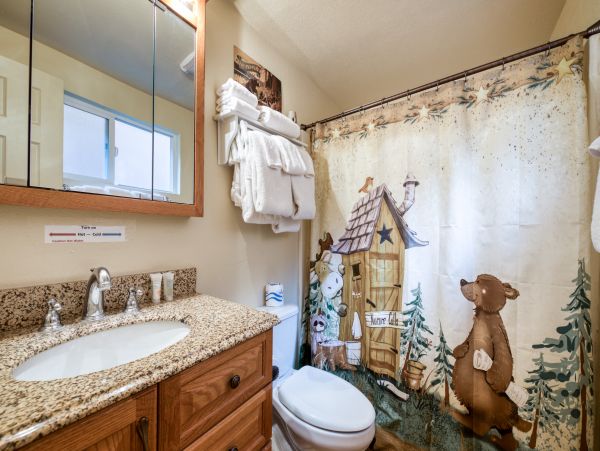 Big Bear Home 976118