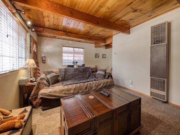 Big Bear Home 976118