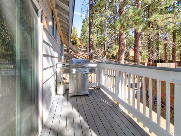 Big Bear Home 976119