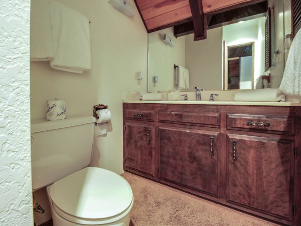 Big Bear Home 976120