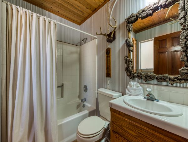 Big Bear Home 976122