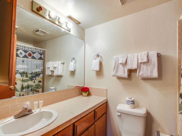 Big Bear Home 976123