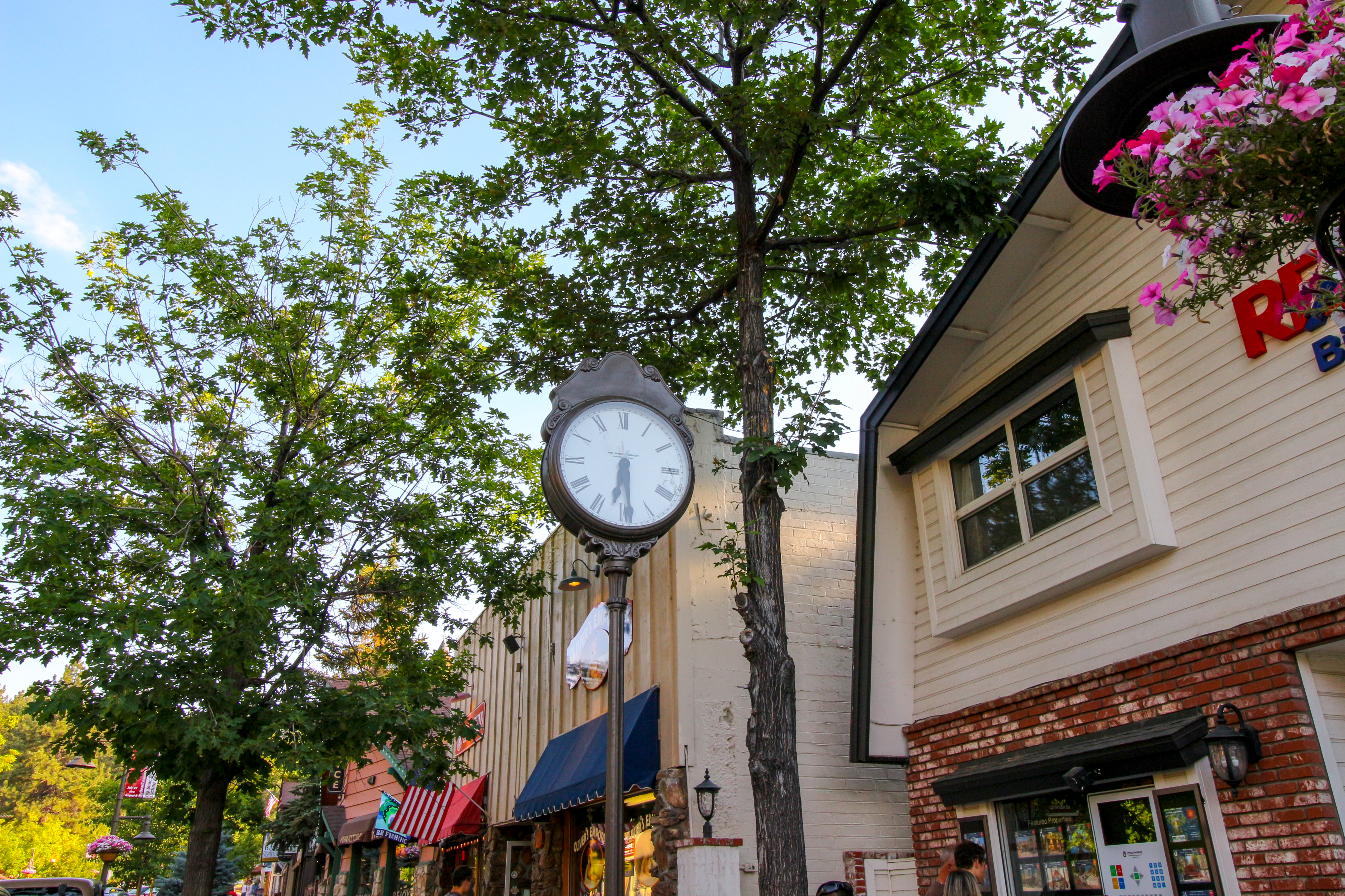 Big Bear Home 976124