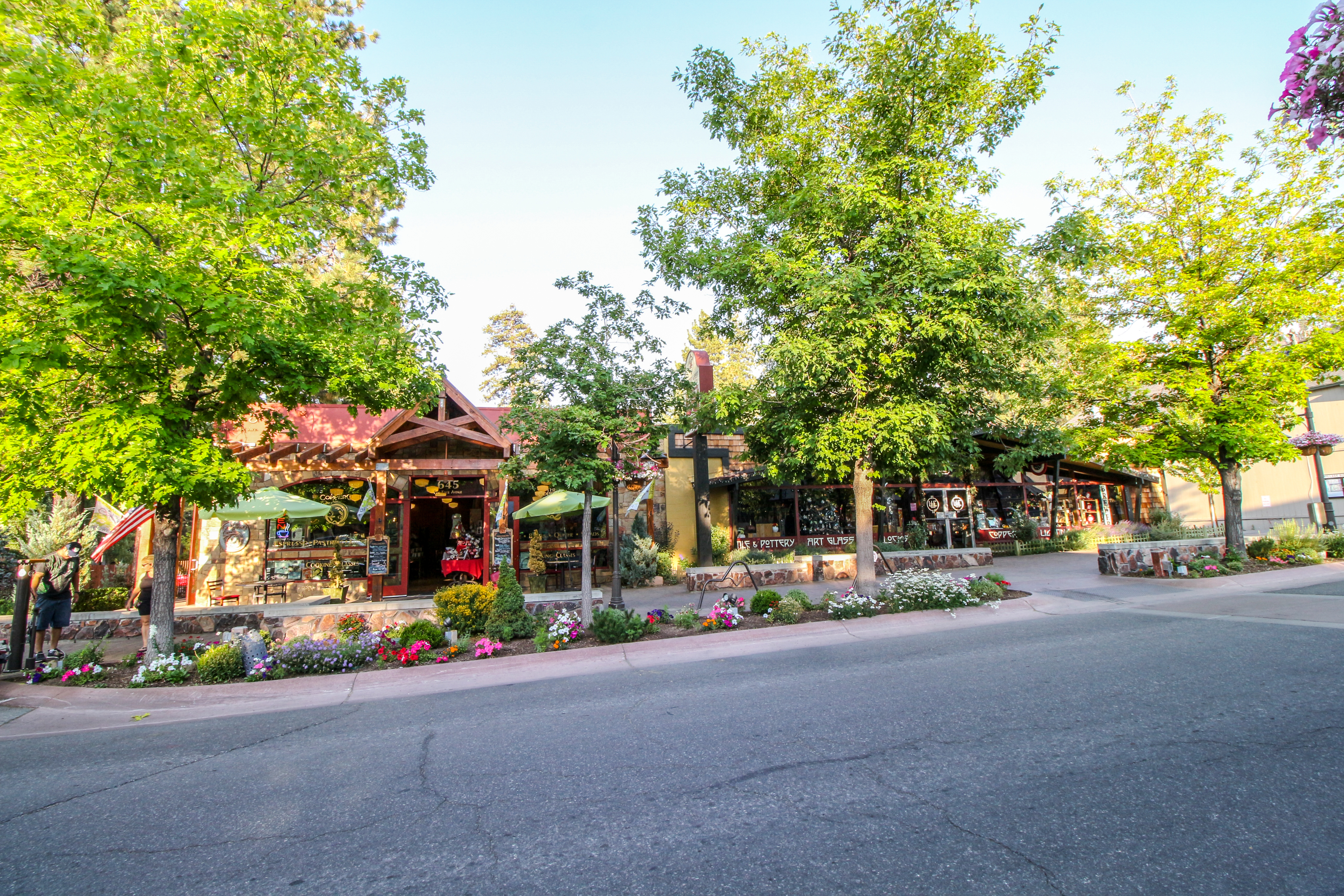 Big Bear Home 976124