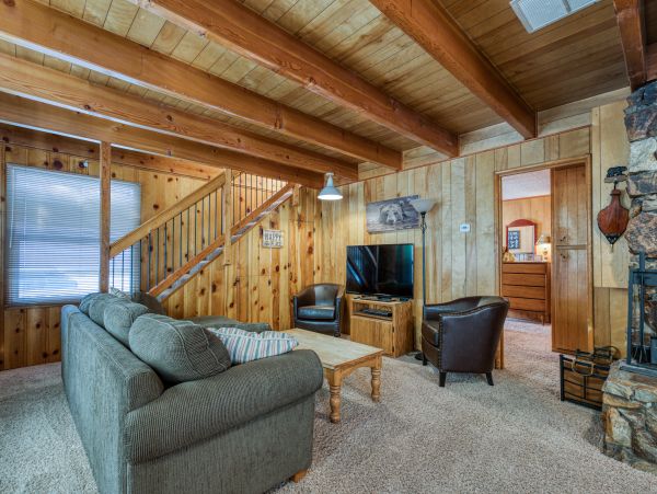 Big Bear Home 976125