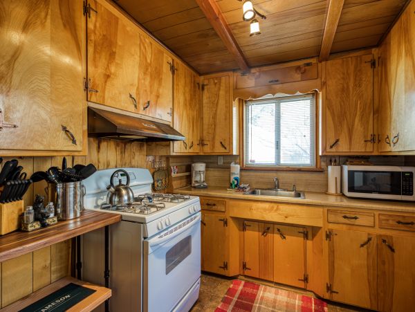 Big Bear Home 976125