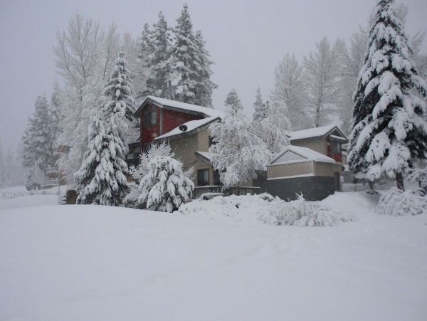 Big Bear Home 976128
