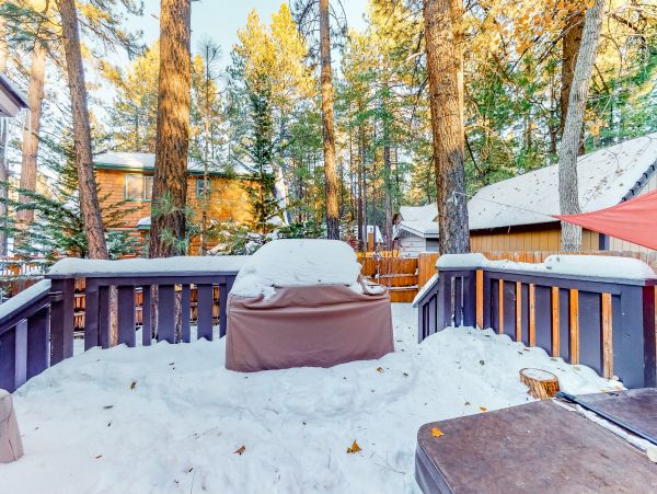 Big Bear Home 976131