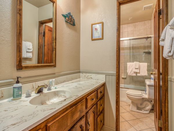 Big Bear Home 976132