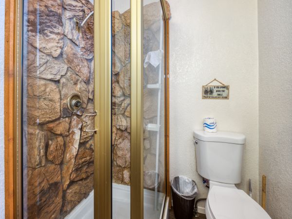 Big Bear Home 976134