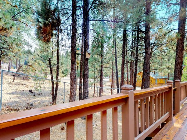 Big Bear Home 976136