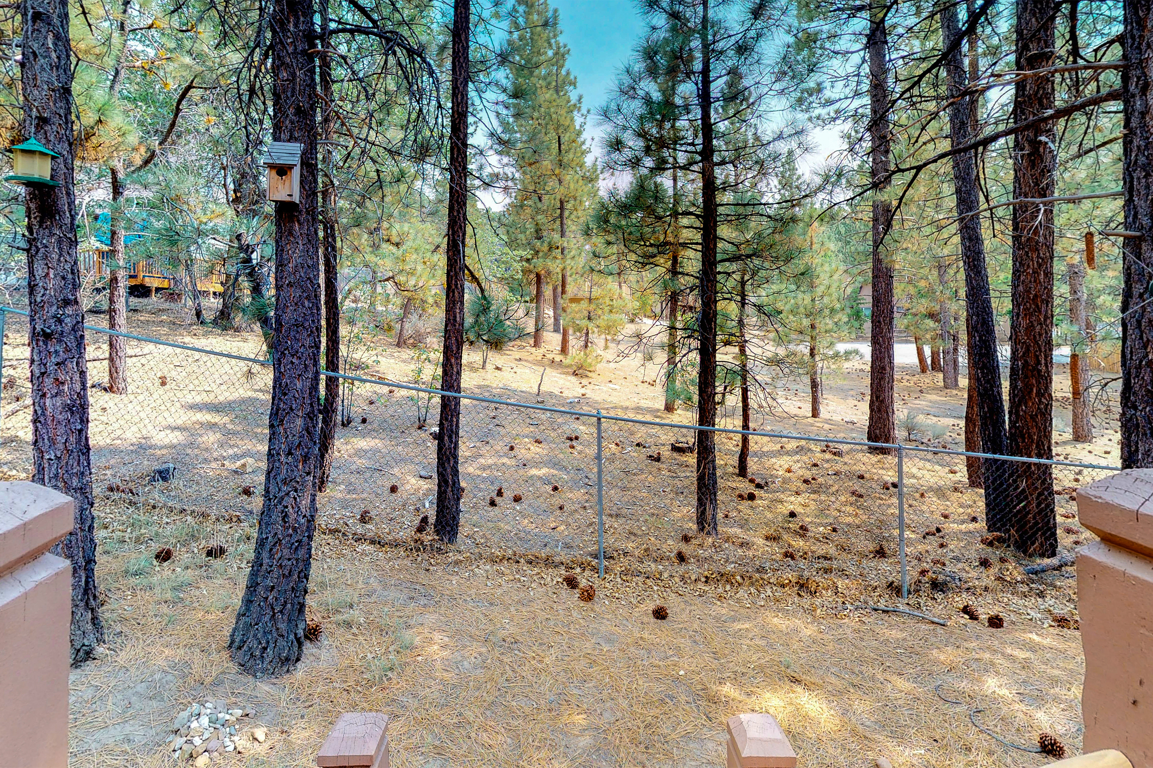 Big Bear Home 976136